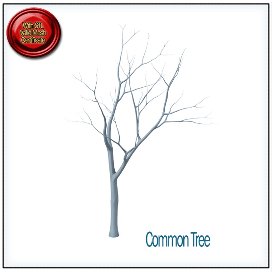 common tree stl printable 3d obj https://p.turbosquid.com/ts-thumb/Dl/kxAo4P/D3DrkfX4/stlcommontreea1/jpg/1422444955/1920x1080/fit_q87/0eb8ea00cfb7c2d249644f480eab9ce131e523c8/stlcommontreea1.jpg