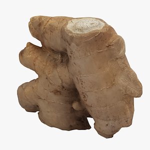 3D scan ginger model