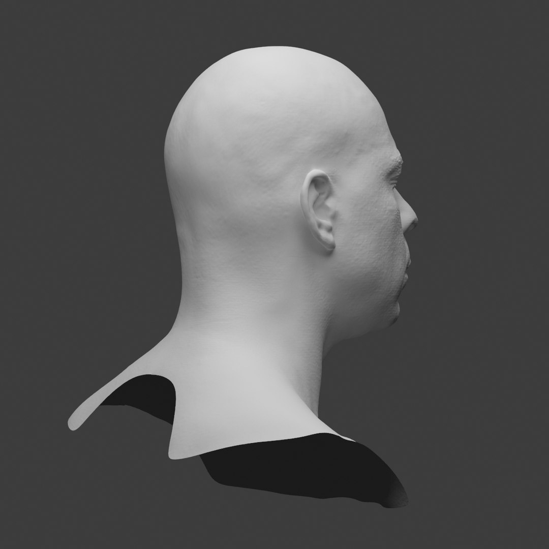 3d model scan head https://p.turbosquid.com/ts-thumb/Dm/3IaDPK/krS6gsP0/preview_04/jpg/1347398909/1920x1080/fit_q87/eb7ce3b793808ef6f89dda226bed23bc4d18499c/preview_04.jpg