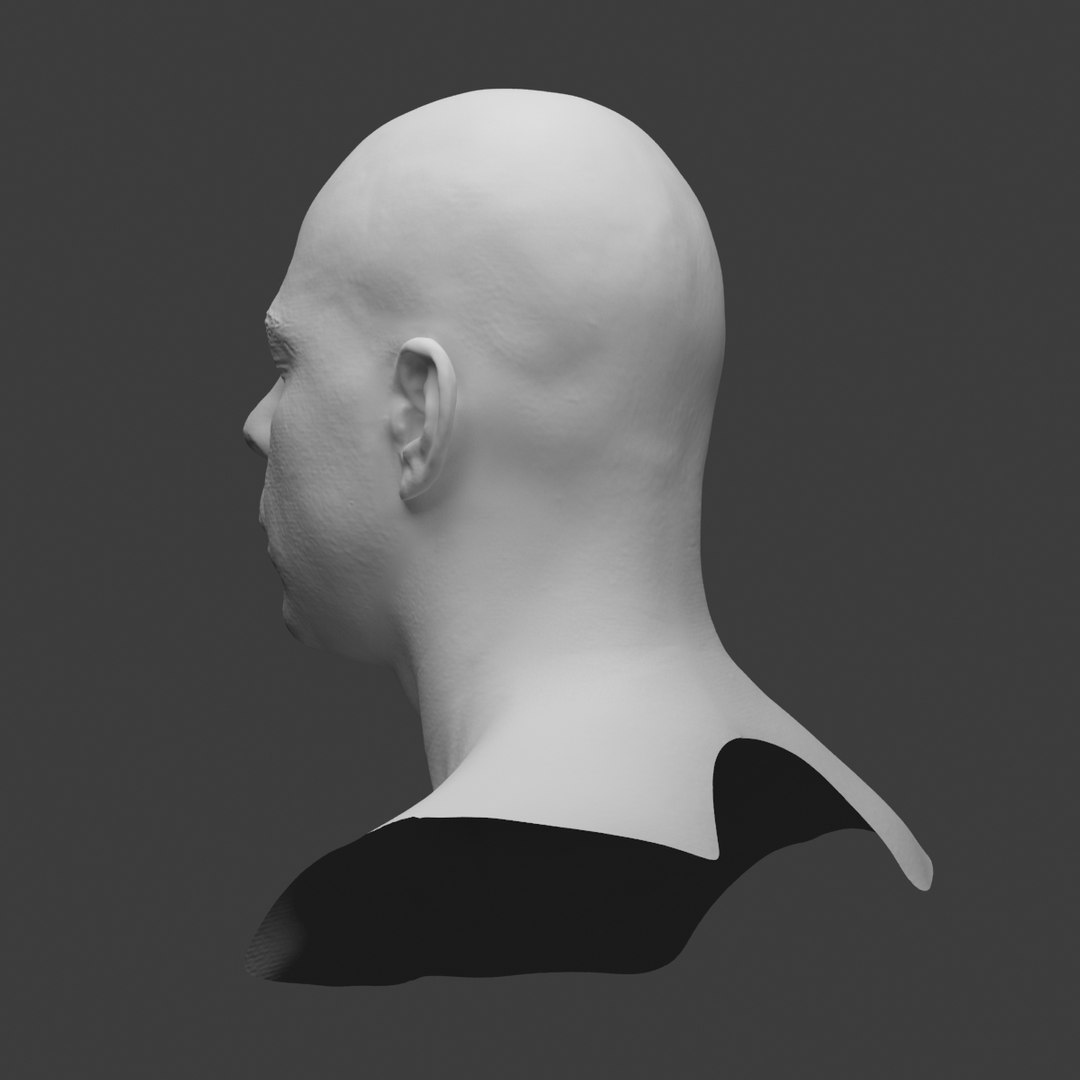 3d model scan head https://p.turbosquid.com/ts-thumb/Dm/3IaDPK/vKzStYWC/preview_05/jpg/1347398909/1920x1080/fit_q87/024c24902bb7d46275ef8ec4c413d8d6f4552f9c/preview_05.jpg