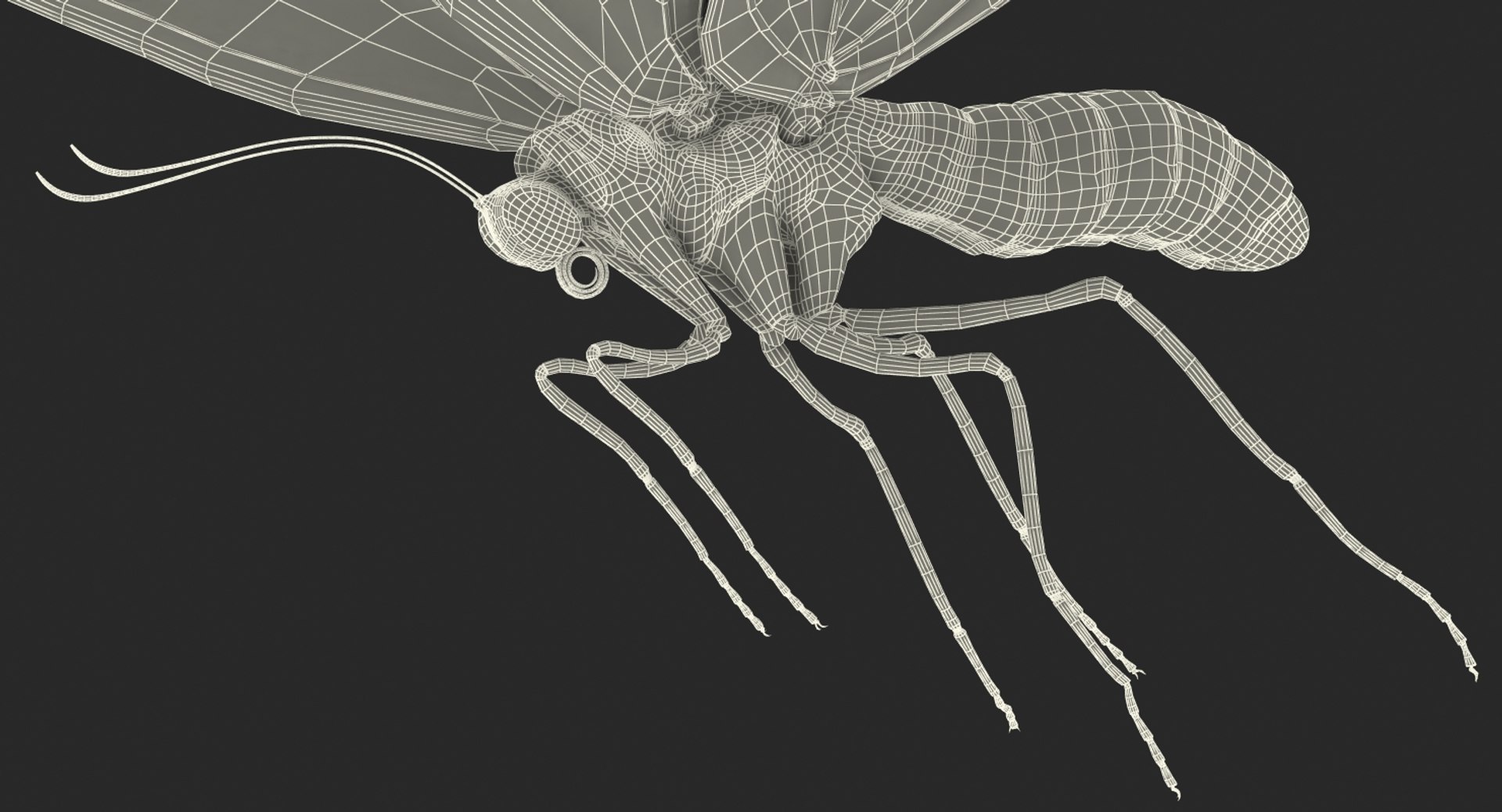 3D model queen alexandras birdwing flying https://p.turbosquid.com/ts-thumb/Dm/7vFj71/NN3cYTcM/queenalexandrasbirdwingflyingpose3dmodel015/jpg/1496813096/1920x1080/fit_q87/9c3fd586d88e87b07e8744817e10be2064463c14/queenalexandrasbirdwingflyingpose3dmodel015.jpg