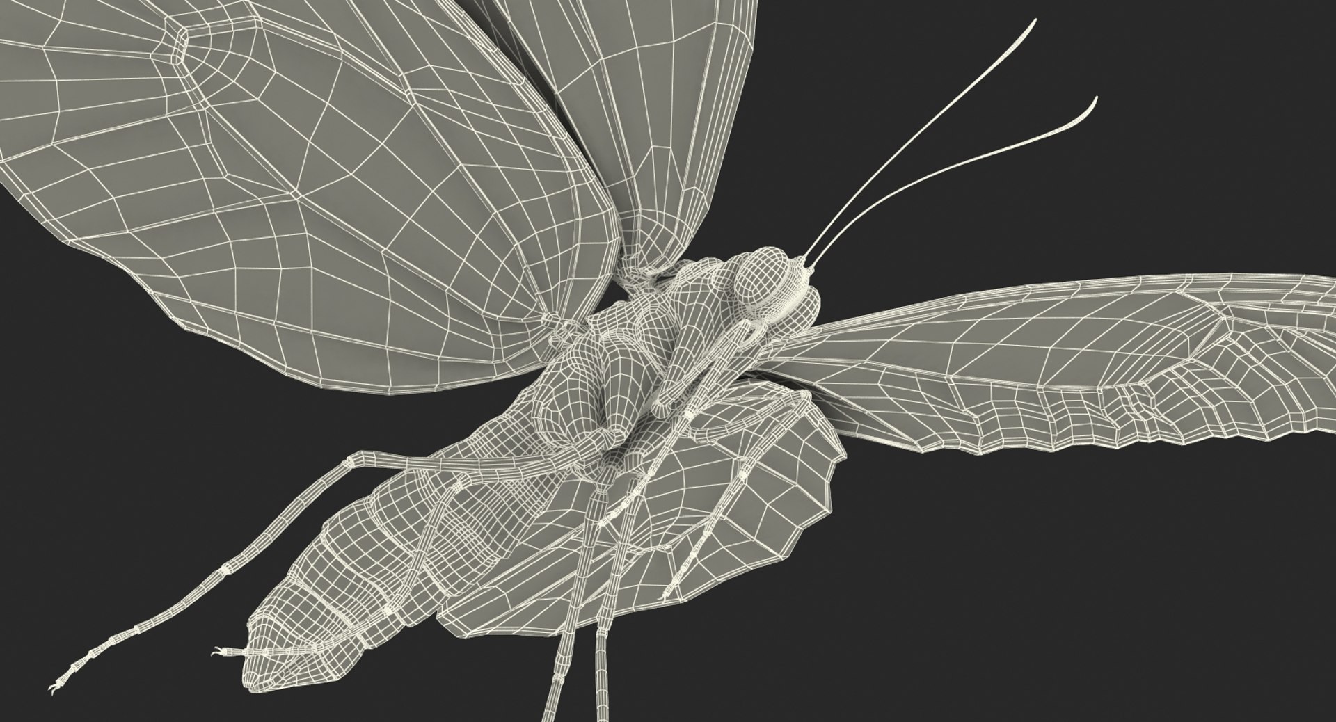 3D model queen alexandras birdwing flying https://p.turbosquid.com/ts-thumb/Dm/7vFj71/Tbi1it1b/queenalexandrasbirdwingflyingpose3dmodel018/jpg/1496813096/1920x1080/fit_q87/769c737058319609ec96b39eb77bc966920884a6/queenalexandrasbirdwingflyingpose3dmodel018.jpg