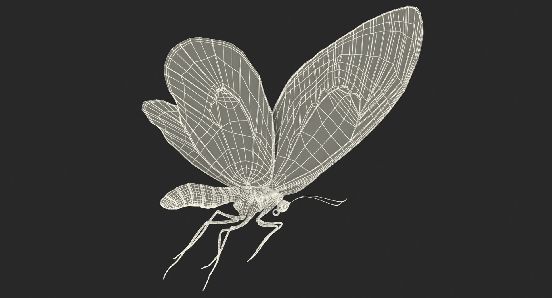 3D model queen alexandras birdwing flying https://p.turbosquid.com/ts-thumb/Dm/7vFj71/YsP1OD6b/queenalexandrasbirdwingflyingpose3dmodel017/jpg/1496813096/1920x1080/fit_q87/b296c379fde1e8f1f4292641f5b1cd05df9fe502/queenalexandrasbirdwingflyingpose3dmodel017.jpg