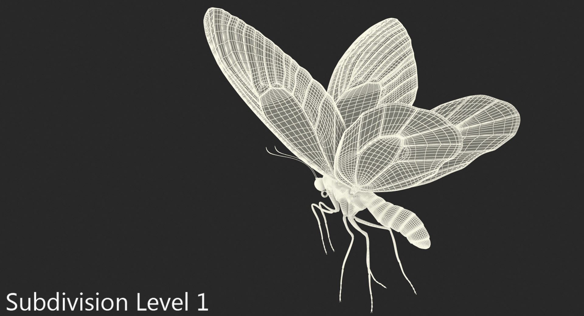3D model queen alexandras birdwing flying https://p.turbosquid.com/ts-thumb/Dm/7vFj71/e6aWy4h1/queenalexandrasbirdwingflyingpose3dmodel009/jpg/1496813096/1920x1080/fit_q87/ef417bb3fe777a10cec60a038d35876ecfb52bec/queenalexandrasbirdwingflyingpose3dmodel009.jpg