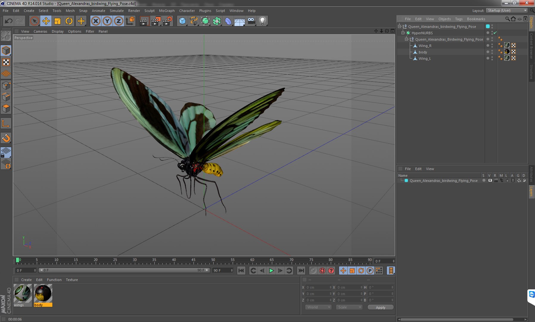 3D model queen alexandras birdwing flying https://p.turbosquid.com/ts-thumb/Dm/7vFj71/yrnT1XPs/queenalexandrasbirdwingflyingpose3dmodel013/jpg/1496813096/1920x1080/fit_q87/b0c98aee9add1b175c4f0a661bdec63fc76459e2/queenalexandrasbirdwingflyingpose3dmodel013.jpg