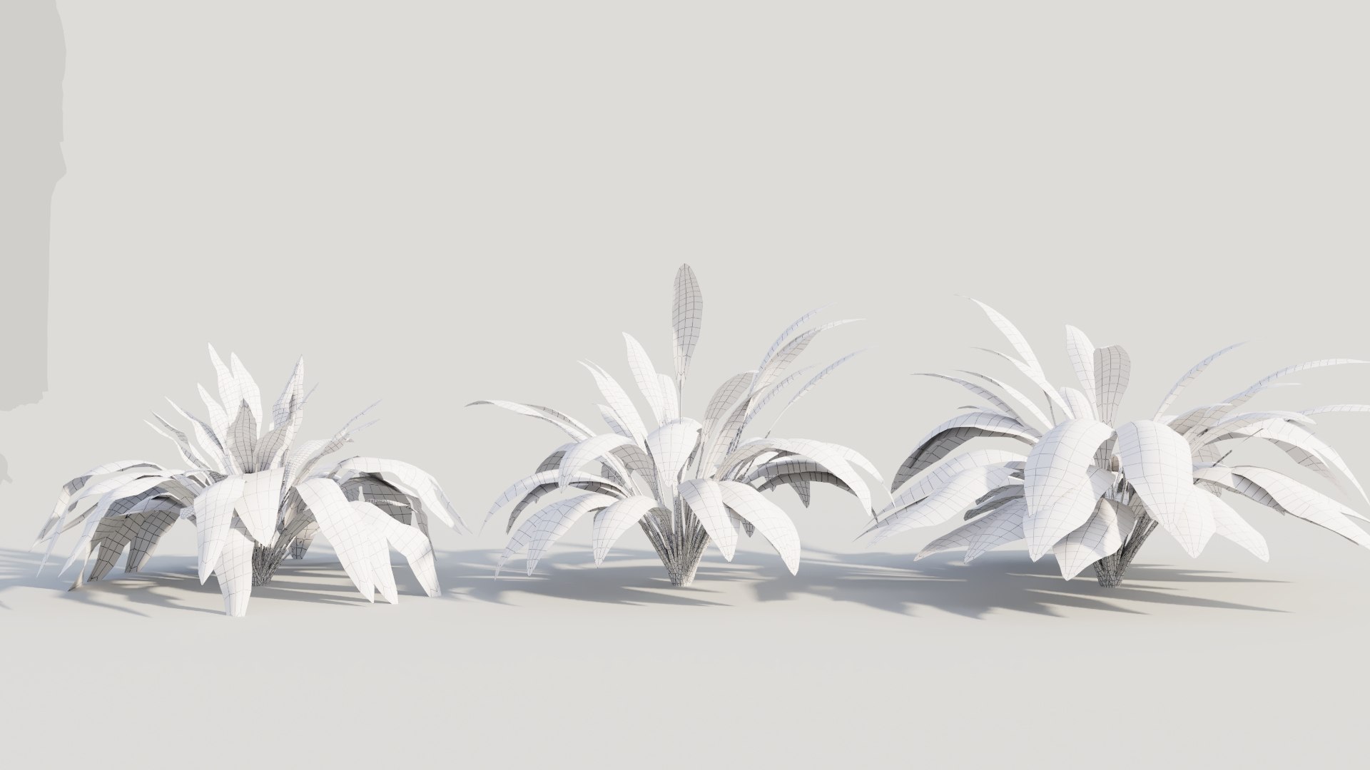 3D Curculigo molineria b https://p.turbosquid.com/ts-thumb/Dm/9h57Ro/Q3/curculigosynmolineriab2/jpg/1705581949/1920x1080/fit_q87/efa9dfb3b118024029a561216320a43e917a551a/curculigosynmolineriab2.jpg