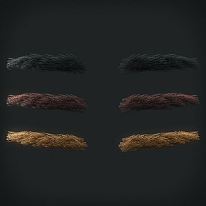 eyebrows 4 model