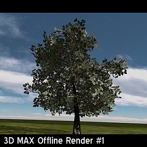 OakTree1_3DS