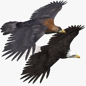 Eagles