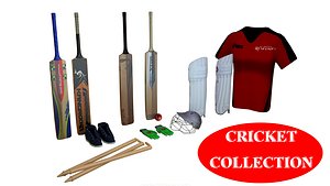 Cricket items
