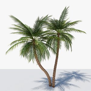 3D Date Palm v5 model