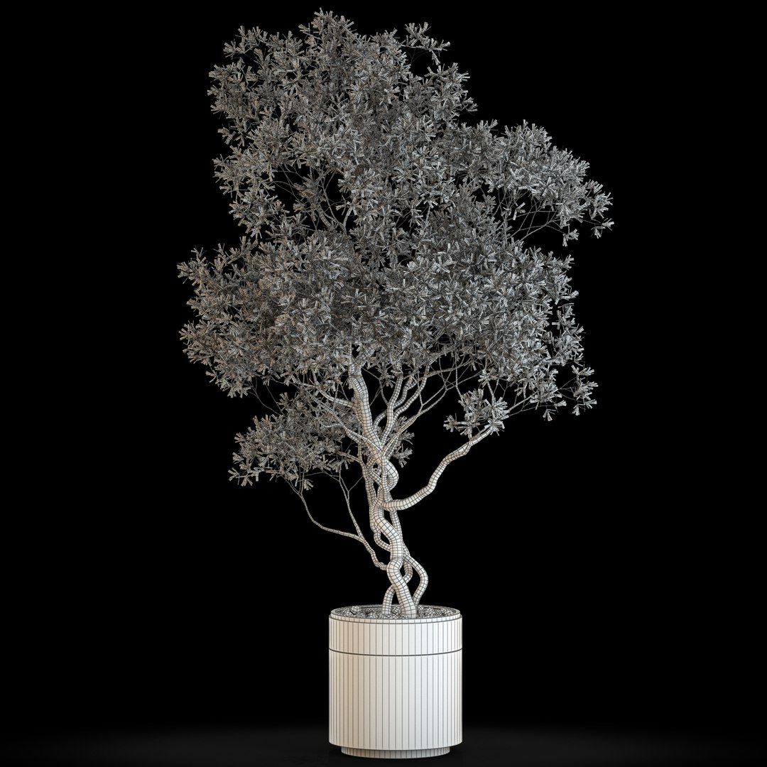 3D Plants collection 645 https://p.turbosquid.com/ts-thumb/Dm/j5ouWi/v6/plant_645_05.rgb_color/jpg/1645950666/1920x1080/fit_q87/5c90650f9096805f700c5fc3fbf668dce5459b7b/plant_645_05.rgb_color.jpg
