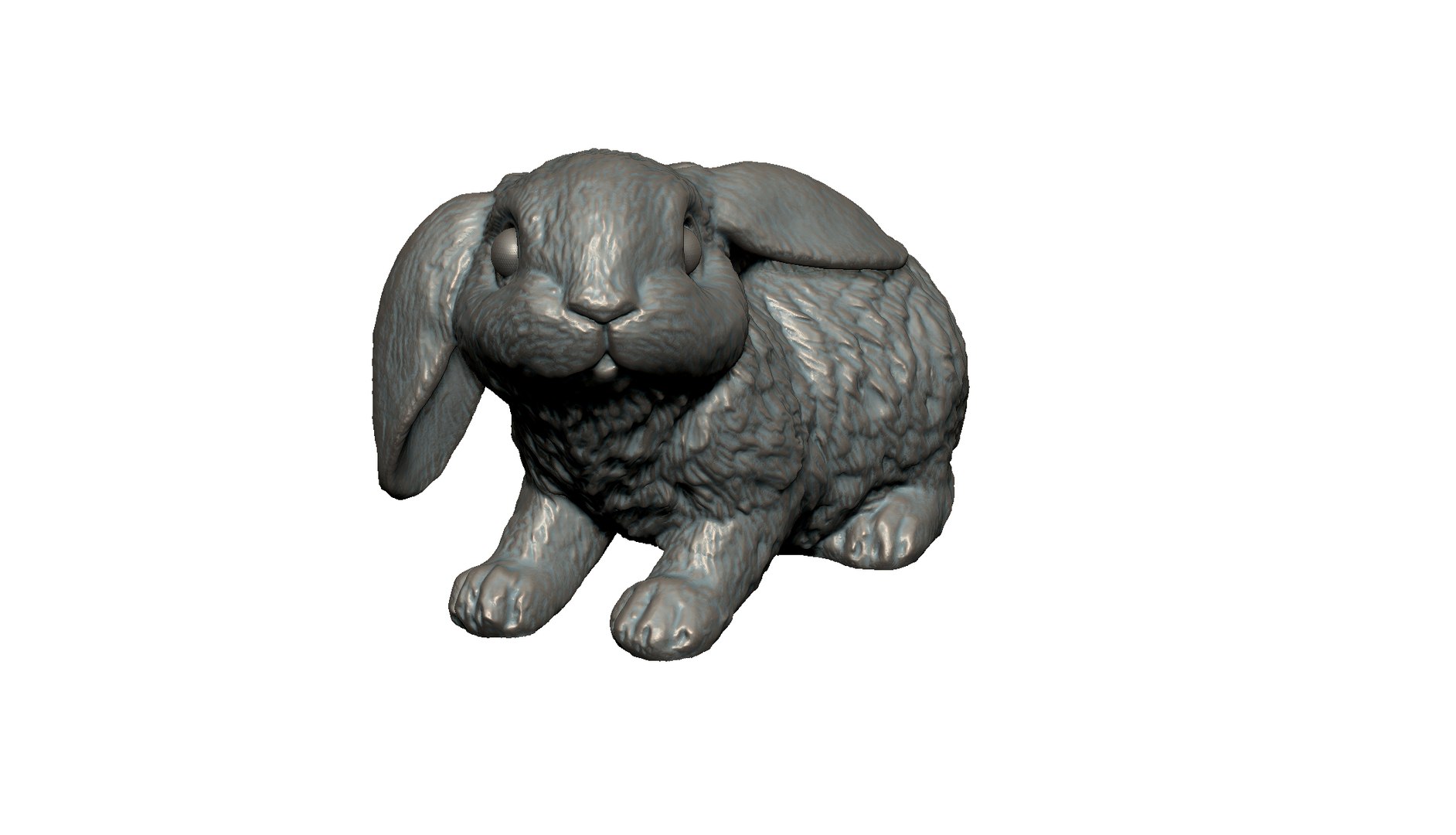 Rabbit 3D Model - TurboSquid 2361161