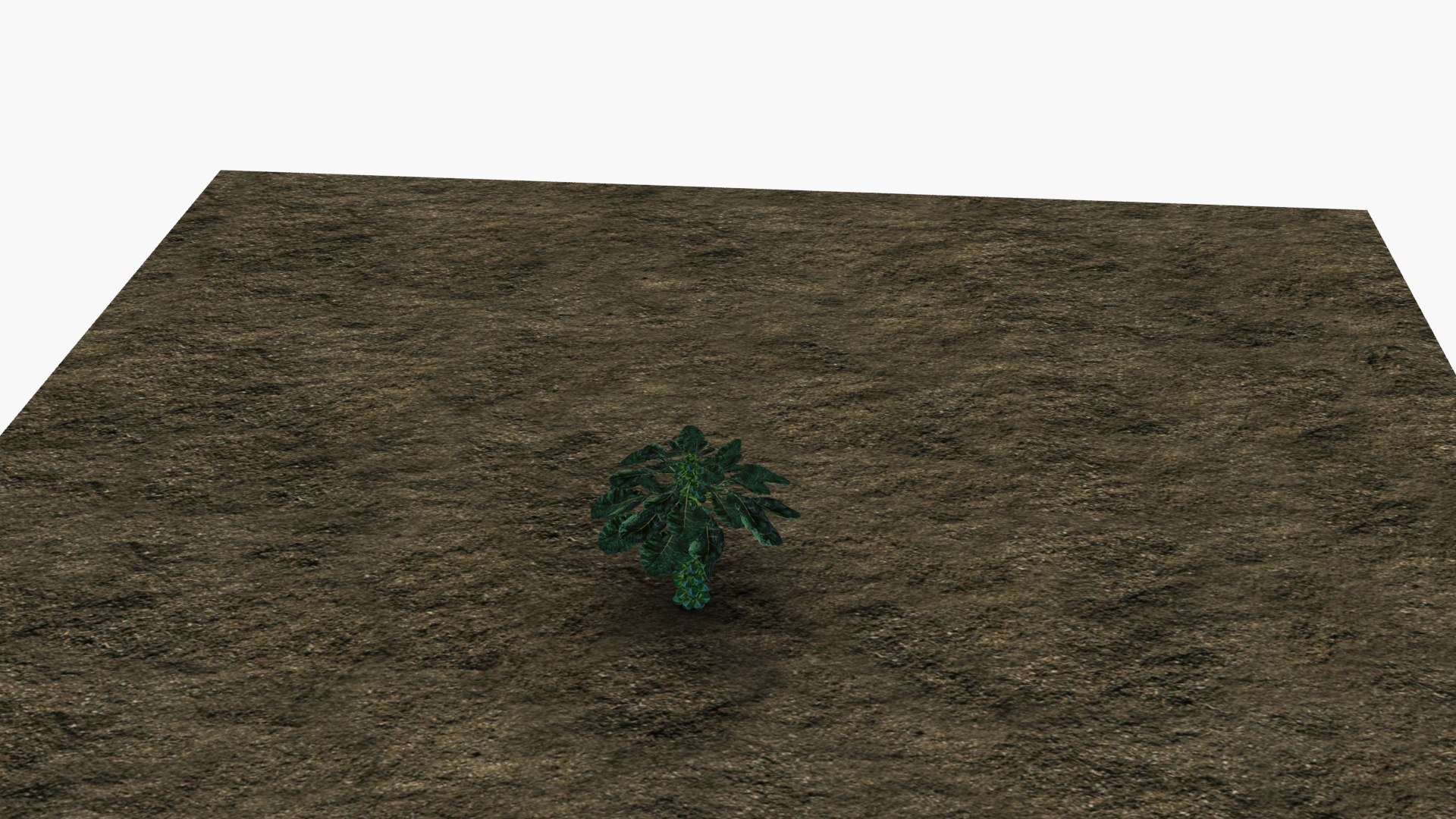 3D model Brussel sprouts https://p.turbosquid.com/ts-thumb/Dm/tB4uGp/cO/ps3/jpg/1670767827/1920x1080/fit_q87/ea4ff69b1497cd9c63d9c1c3742c7027c9137886/ps3.jpg