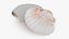 Clam Shell 04 Pose 2