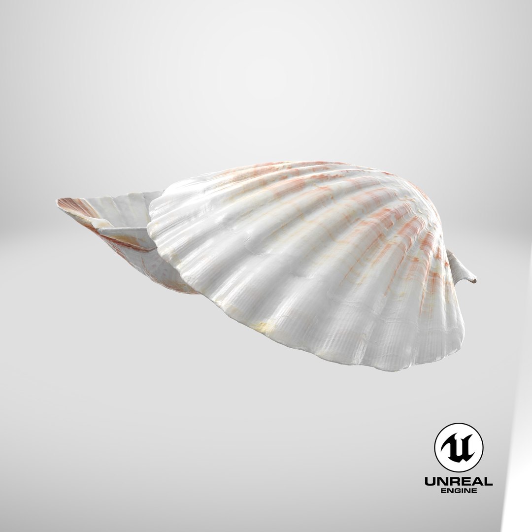 3D Clam Shell 04 Pose 2 model https://p.turbosquid.com/ts-thumb/Dm/tMAuHz/HJ/stemcell_unreal_render/png/1724421284/1920x1080/fit_q87/ad8fad73fa3d630491cf0adc93365c0c0c78e9d3/stemcell_unreal_render.jpg