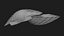 Clam Shell 04 Pose 2