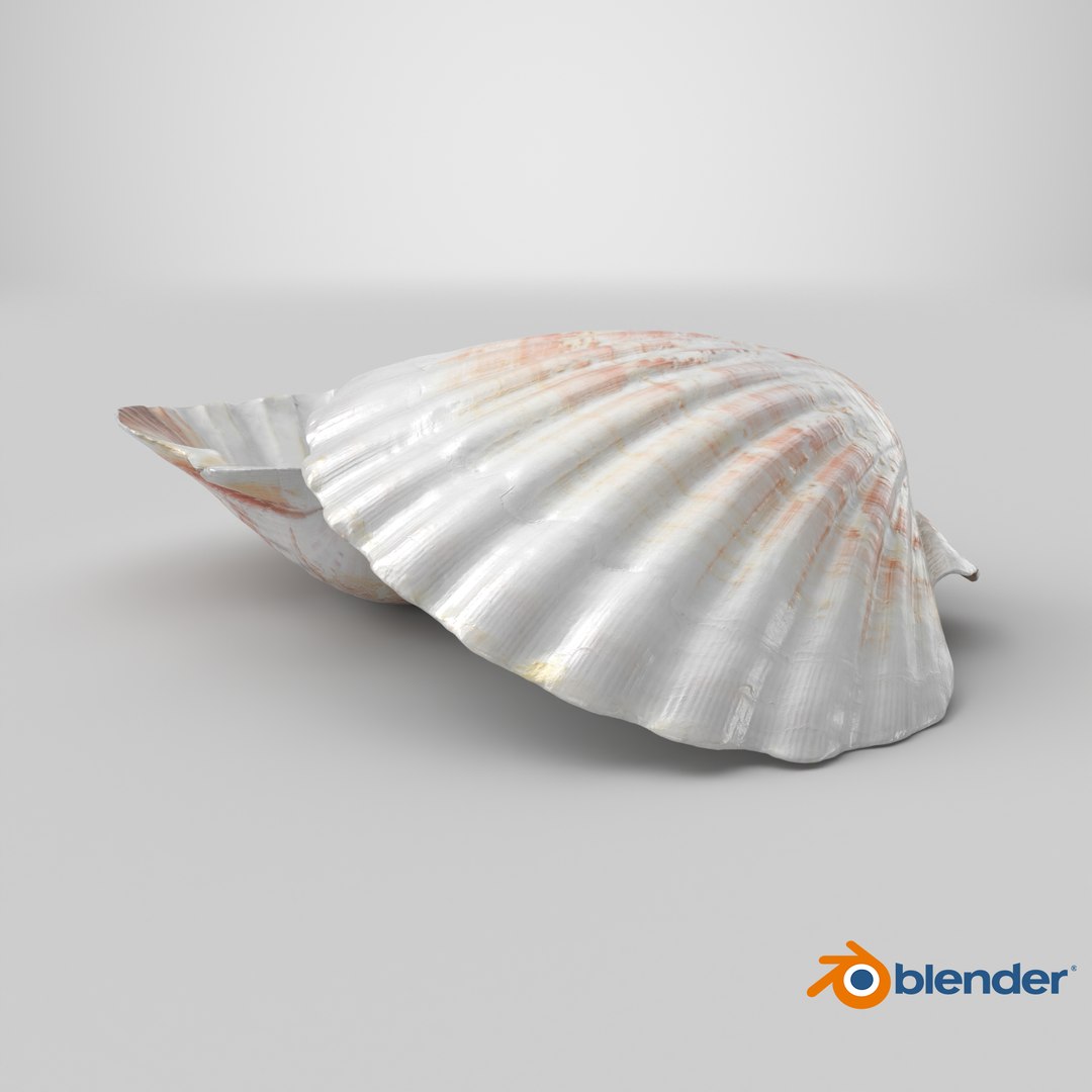 3D Clam Shell 04 Pose 2 model https://p.turbosquid.com/ts-thumb/Dm/tMAuHz/Yg/stemcell_blender_cycles_render/png/1724421271/1920x1080/fit_q87/400232d92398b1cfbb70cf4cd2350334d2baf543/stemcell_blender_cycles_render.jpg