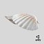Clam Shell 04 Pose 2