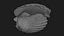 Clam Shell 04 Pose 2