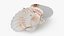Clam Shell 04 Pose 2