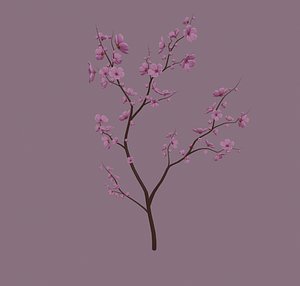 cherry blossom model