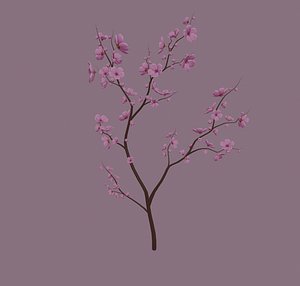 Cherry Blossom