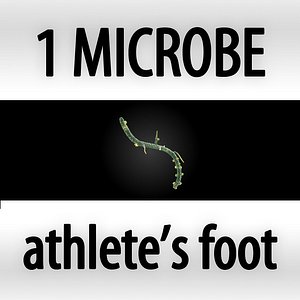 max microbes micro organisms