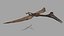 Quetzalcoatlus HD - 3d animated model 3D