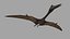 Quetzalcoatlus HD - 3d animated model 3D