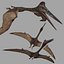 Quetzalcoatlus HD - 3d animated model 3D