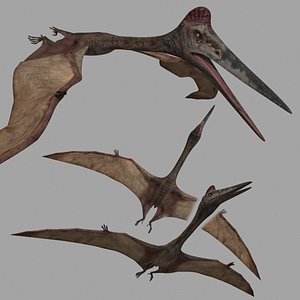 Quetzalcoatlus HD - 3d animated model