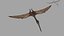 Quetzalcoatlus HD - 3d animated model 3D