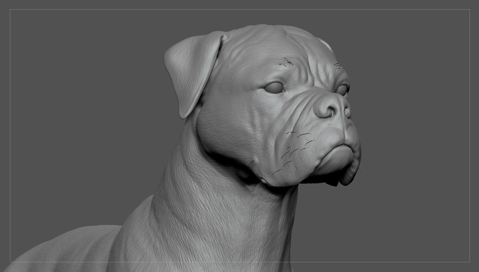 boxer dog real-time real time 3ds https://p.turbosquid.com/ts-thumb/Dn/4nUFhK/0T8YXkyz/boxer_by_alexlashko_zbrush_06/jpg/1468298959/1920x1080/fit_q87/f790e4a052ea19f28c3de3e78b9e7cc8ae82eaae/boxer_by_alexlashko_zbrush_06.jpg