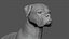 Boxer Real-Time
