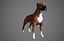 Boxer Real-Time