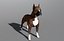 Boxer Real-Time