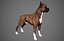 Boxer Real-Time