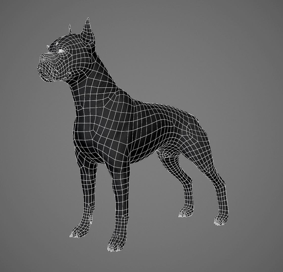 boxer dog real-time real time 3ds https://p.turbosquid.com/ts-thumb/Dn/4nUFhK/7Vhb5mTu/boxer_wireframe/jpg/1468300965/1920x1080/turn_fit_q99/787c6d5aba7185ca5131948cf41ccb00ba317346/boxer_wireframe-1.jpg