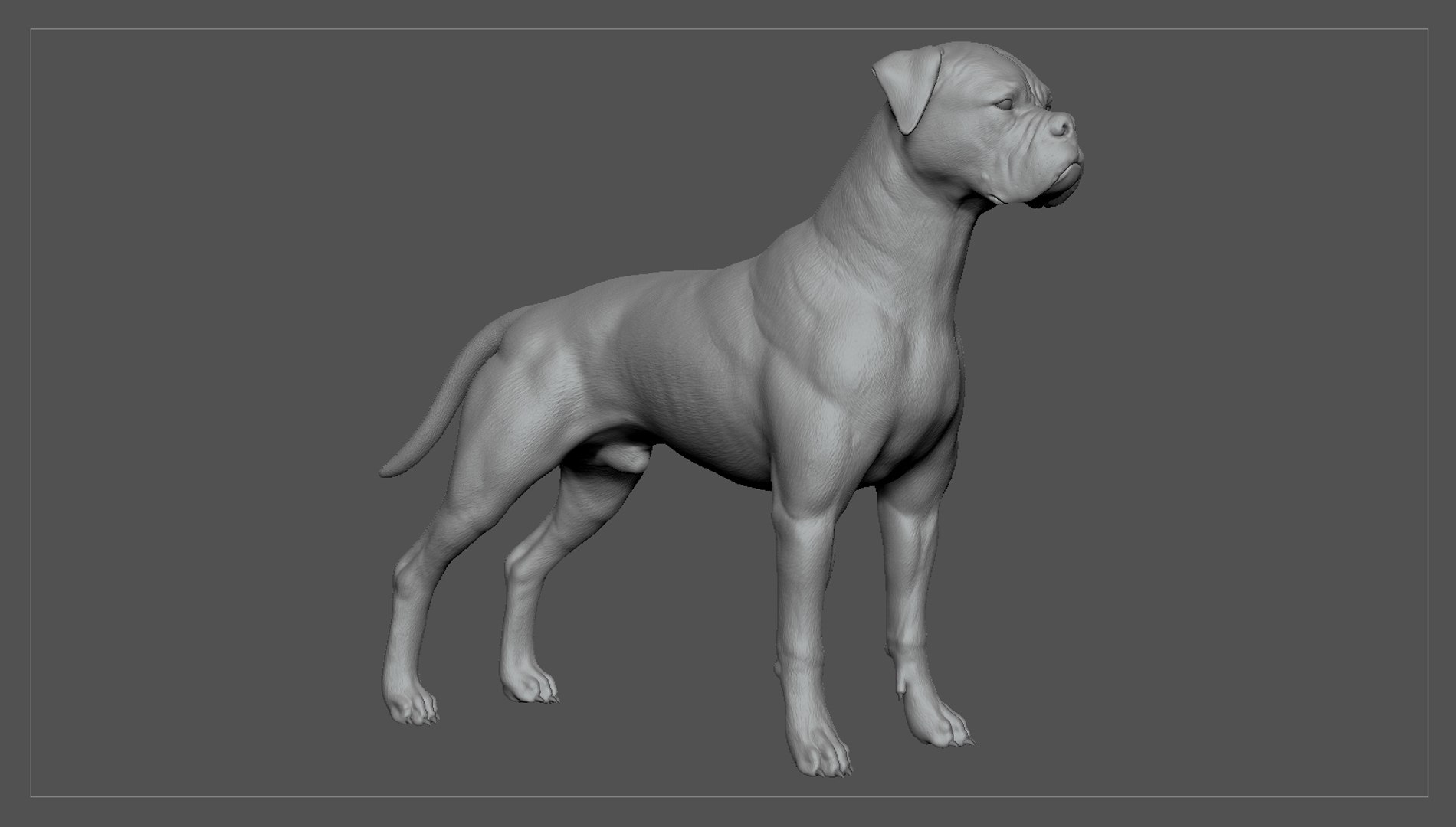 boxer dog real-time real time 3ds https://p.turbosquid.com/ts-thumb/Dn/4nUFhK/9T9fmJlx/boxer_by_alexlashko_zbrush_01/jpg/1468298959/1920x1080/fit_q87/250397b983fb14b1f9974bb0fb3100f9bec3ea7f/boxer_by_alexlashko_zbrush_01.jpg