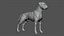Boxer Real-Time