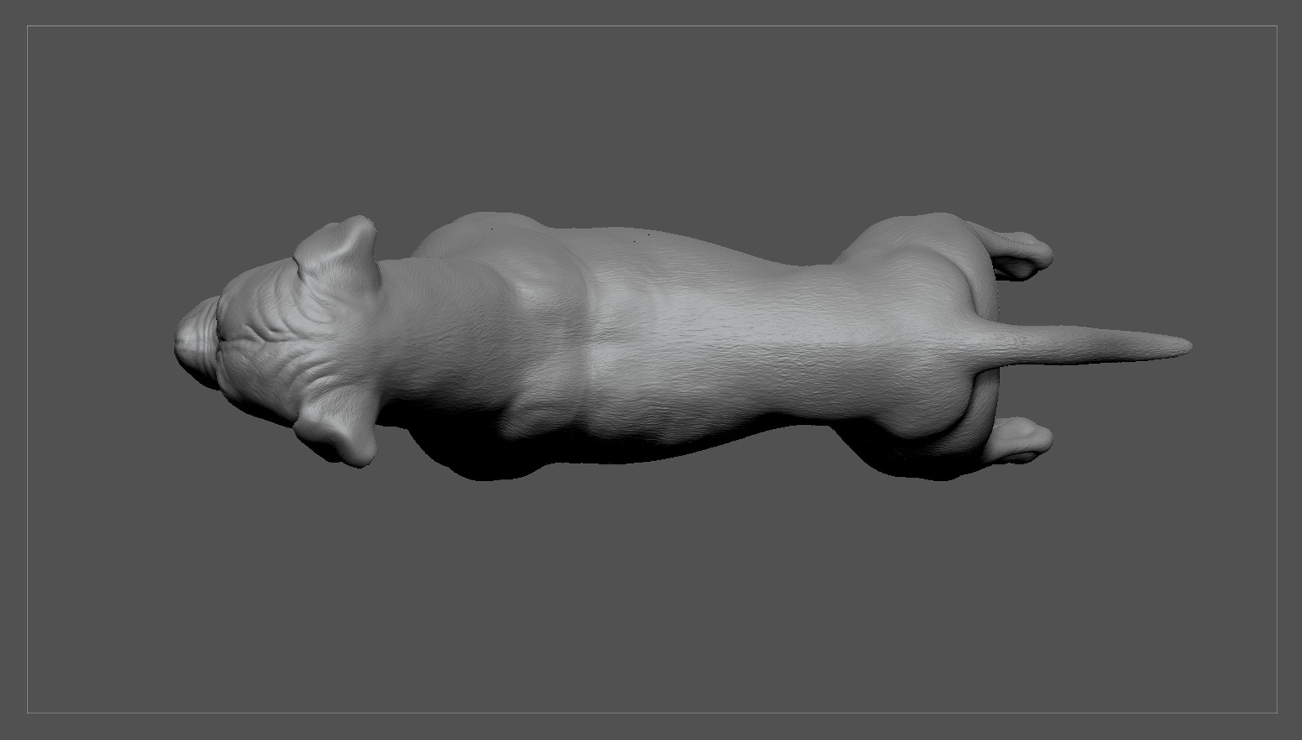boxer dog real-time real time 3ds https://p.turbosquid.com/ts-thumb/Dn/4nUFhK/AuTjSqxU/boxer_by_alexlashko_zbrush_04/jpg/1468298959/1920x1080/fit_q87/f40e695f9c0907e615f4c027f0121e61bc7640d7/boxer_by_alexlashko_zbrush_04.jpg