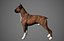 Boxer Real-Time