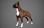 Boxer Real-Time