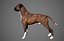 Boxer Real-Time