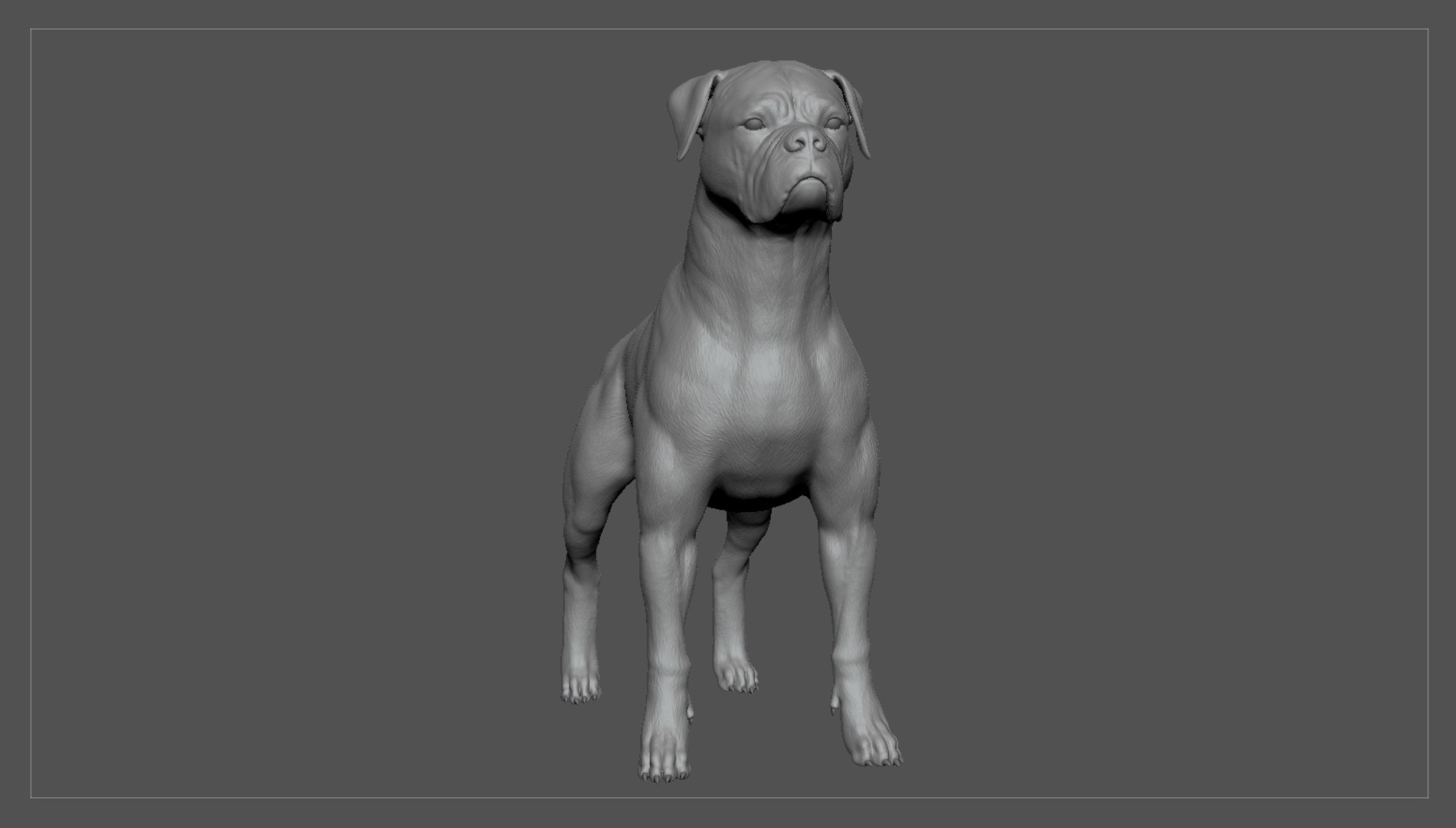 boxer dog real-time real time 3ds https://p.turbosquid.com/ts-thumb/Dn/4nUFhK/NtNy46pc/boxer_by_alexlashko_zbrush_02/jpg/1468298959/1920x1080/fit_q87/dedab5997f0b0d2eaadf41a28112dc9fbc5b1fcc/boxer_by_alexlashko_zbrush_02.jpg