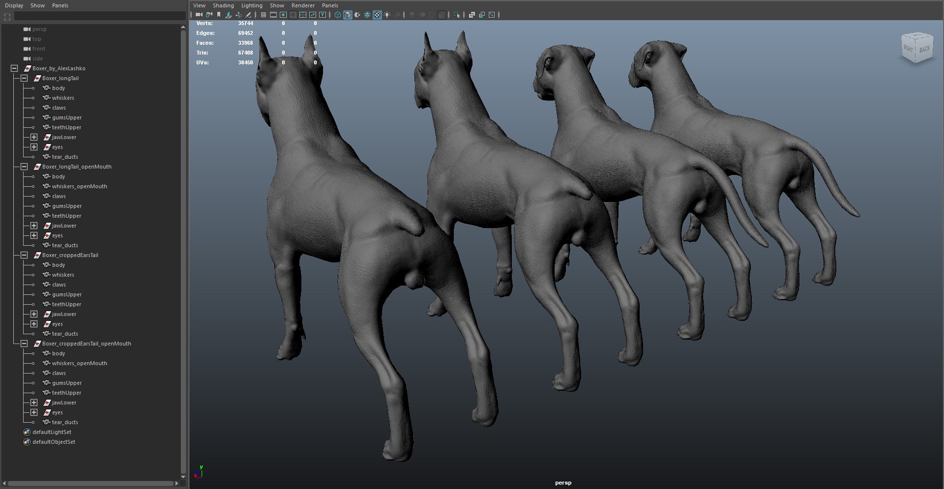 boxer dog real-time real time 3ds https://p.turbosquid.com/ts-thumb/Dn/4nUFhK/OjeRxPOY/boxer_by_alexlashko_maya02/jpg/1468299070/1920x1080/fit_q87/5befd452e2a4778592bc87f845512600857c6922/boxer_by_alexlashko_maya02.jpg