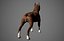 Boxer Real-Time