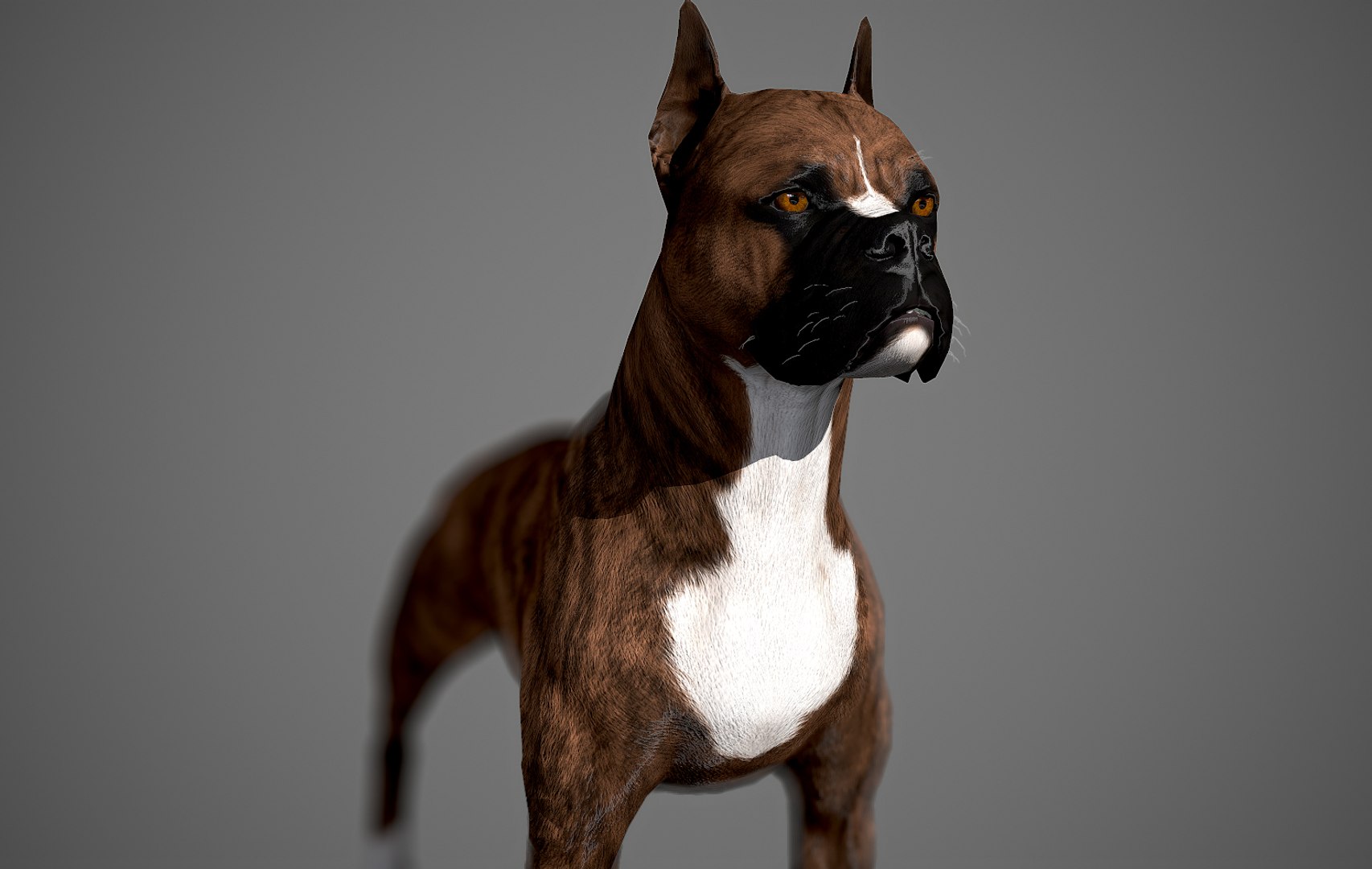 boxer dog real-time real time 3ds https://p.turbosquid.com/ts-thumb/Dn/4nUFhK/VS50X3A1/boxer_by_alexlashko_preview_12/jpg/1468289331/1920x1080/fit_q87/3d5223ac3eccea285c954b30ff3b7e7edb2b31cc/boxer_by_alexlashko_preview_12.jpg