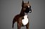 Boxer Real-Time